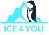 ICE 4 YOU